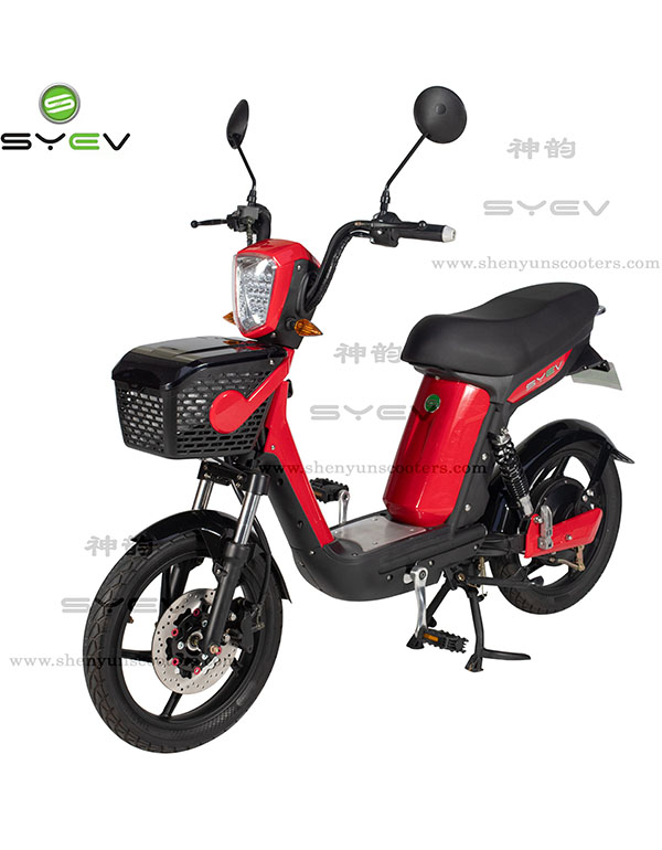 Electric scooter 2S