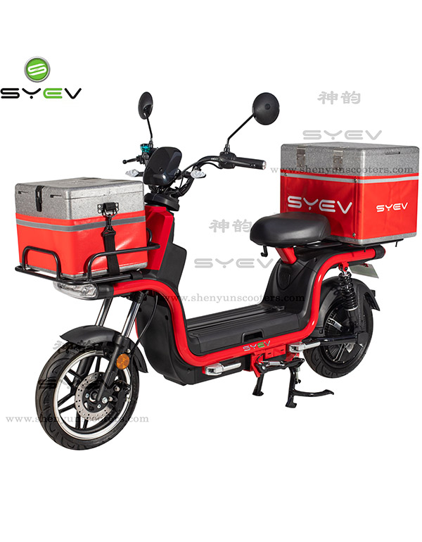 Electric delivery bike(EEC)