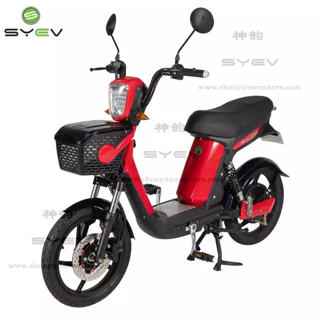 Main features and basic characteristics of the Electric Bike