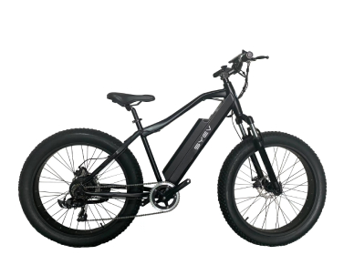 Definition of Electric Bicycle in different countries