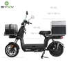 Top Sale 2 Wheeled Pizza Delivery Electric Scooter