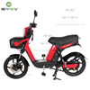 High Performance Electric Bike For Heavy Riders LXQS2