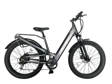 Electric Bicycle technology development and purchase of common sense