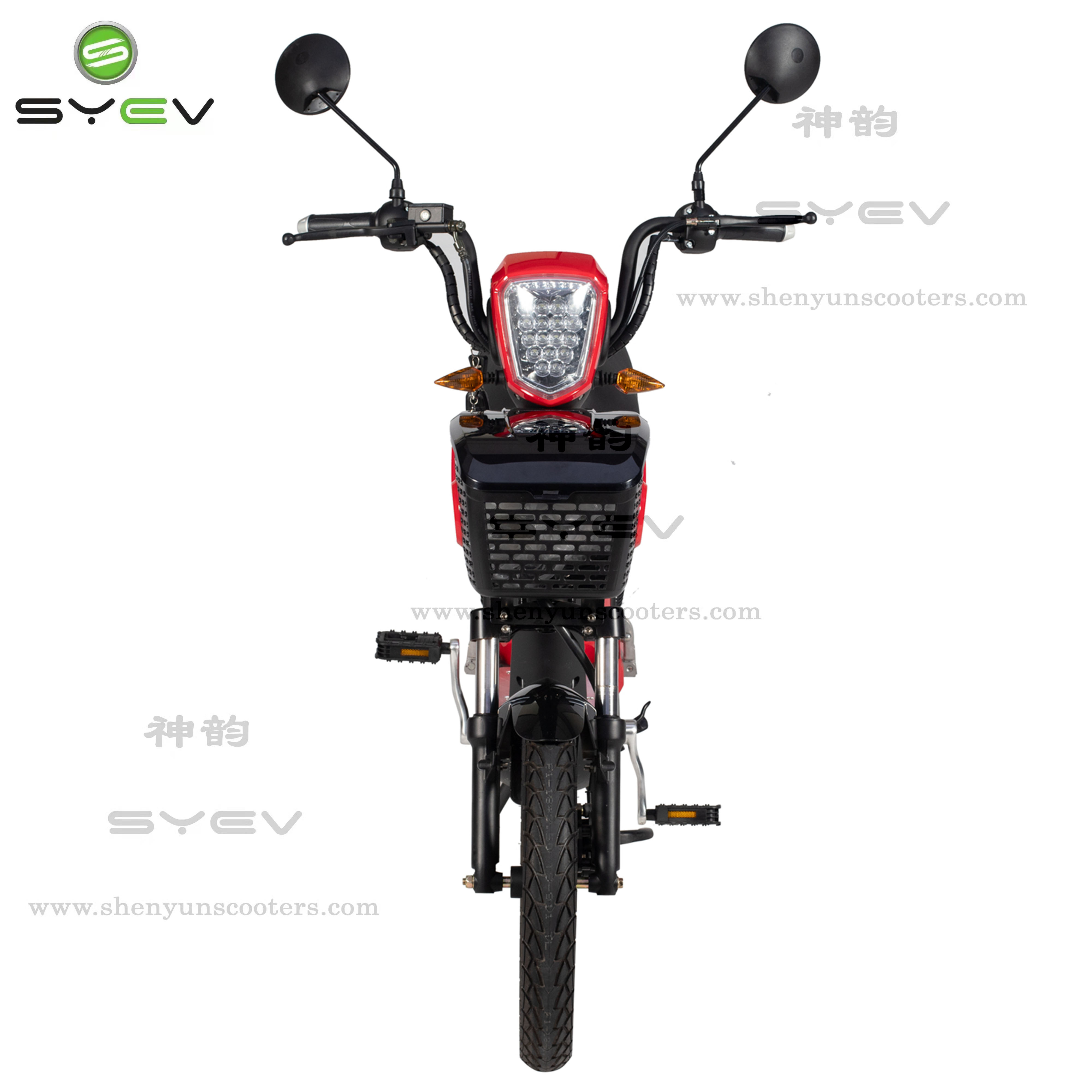 high-performance-electric-bike-for-heavy-riders-lxqs2-from-china