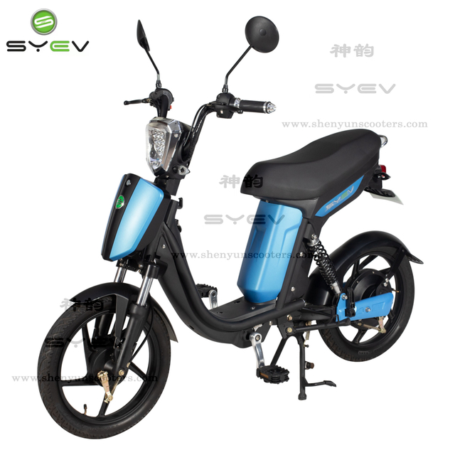 2022 Dual Motor Electric Scooter LXQS1