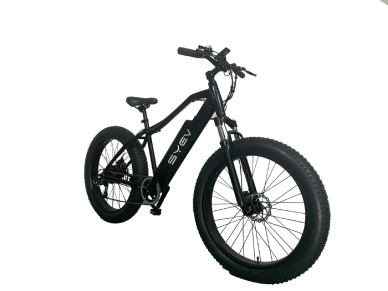 Electric Bicycle's battery purchase knowledge