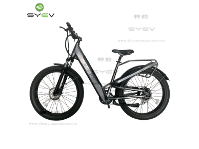 Market Prospects for the Electric Bicycle Industry