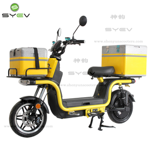 2022 1200W Powerful Electric Delivery Bike For Pizza 